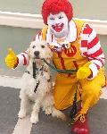 Vivi and Ronald McDonald